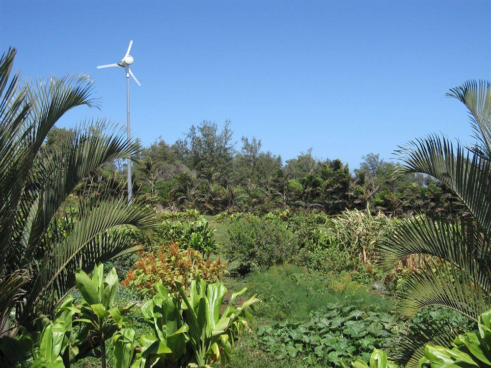 Hawaii Island Retreat At Ahu Pohaku Ho'Omaluhia Villa Kapaau Buitenkant foto