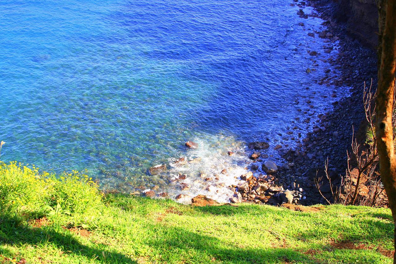 Hawaii Island Retreat At Ahu Pohaku Ho'Omaluhia Villa Kapaau Buitenkant foto
