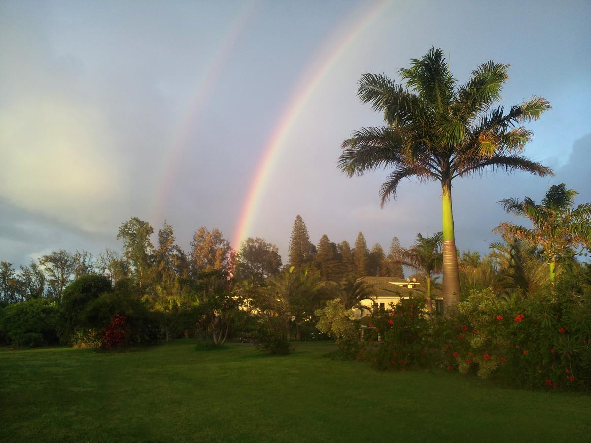 Hawaii Island Retreat At Ahu Pohaku Ho'Omaluhia Villa Kapaau Buitenkant foto