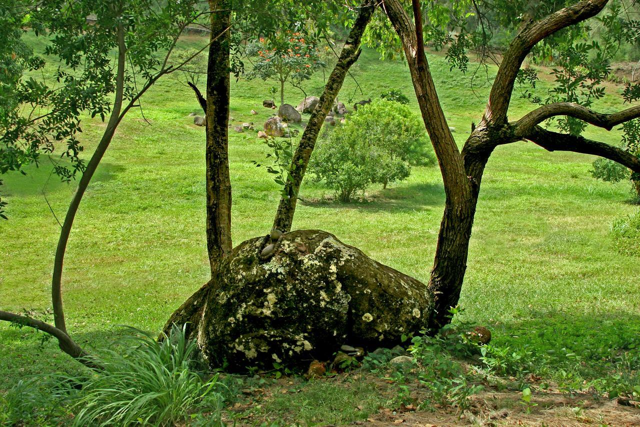 Hawaii Island Retreat At Ahu Pohaku Ho'Omaluhia Villa Kapaau Buitenkant foto